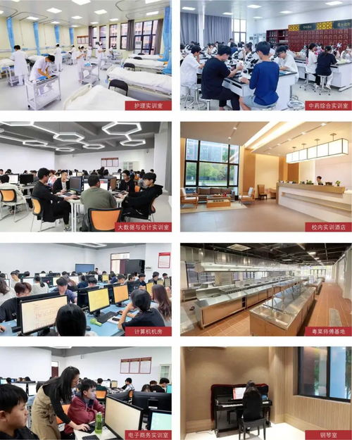 廣東酒店管理職業(yè)技術學院2024年春季高考餐飲管理專業(yè)詳解 開啟酒店服務業(yè)職業(yè)新篇章